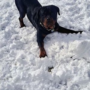 Meet your Posher, Jay